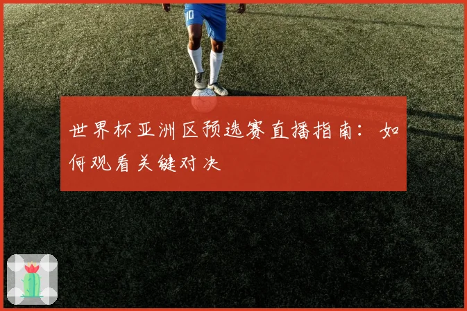 世界杯亚洲区预选赛直播指南：如何观看关键对决